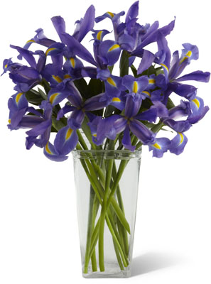 The FTD Iris Riches Bouquet